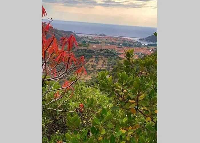 Tiria House - Tatil Evi Bosa